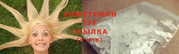 сатива Арсеньев