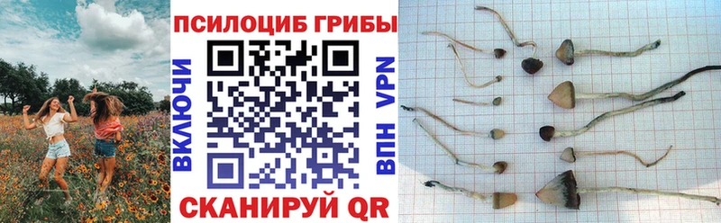 Галлюциногенные грибы Magic Shrooms Яблоновский
